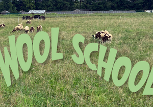 Wool School