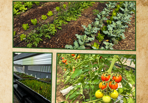 Bellwether Farm Workshop