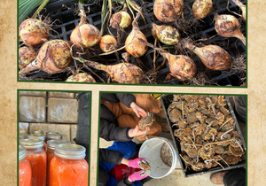 Bellwether Farm Workshop