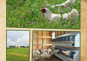 Bellwether Farm Workshop