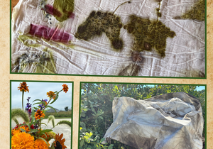 Bellwether Farm Workshop