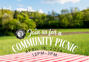 Community Picnic