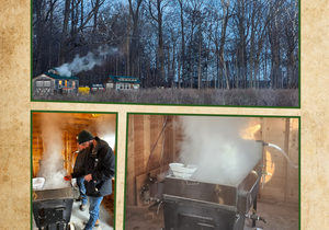 Bellwether Farm Workshop 