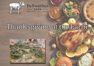 Thanksgiving at Bellwether Farm