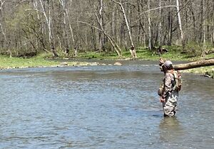 Spring Fly Fishing