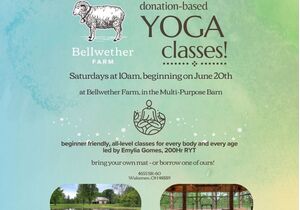 Yoga in the Barn