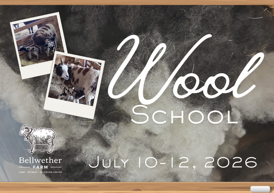 Wool School
