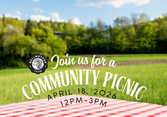 Community Picnic