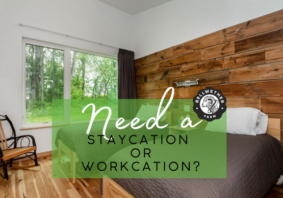 Staycation & Workcation