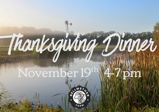 Thanksgiving at Bellwether Farm 