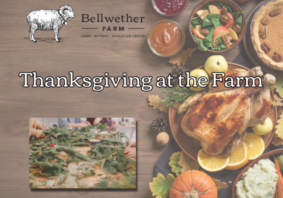 Thanksgiving at Bellwether Farm