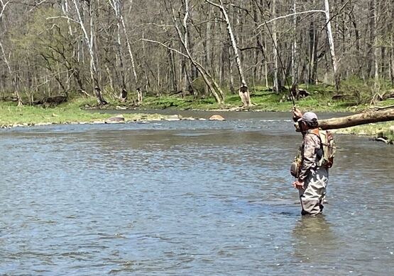 Spring Fly Fishing