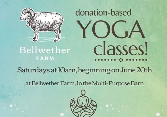 Yoga in the Barn