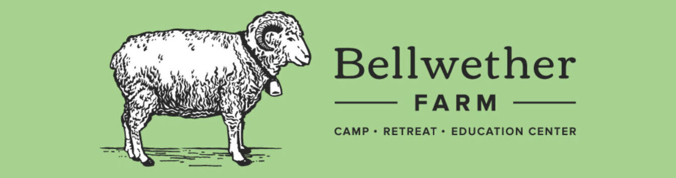 Colorfulfunnyfarmanimalskidspageborder2